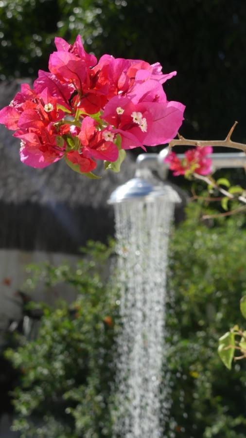 Estrela Azul Guest House Buzios 외부 사진