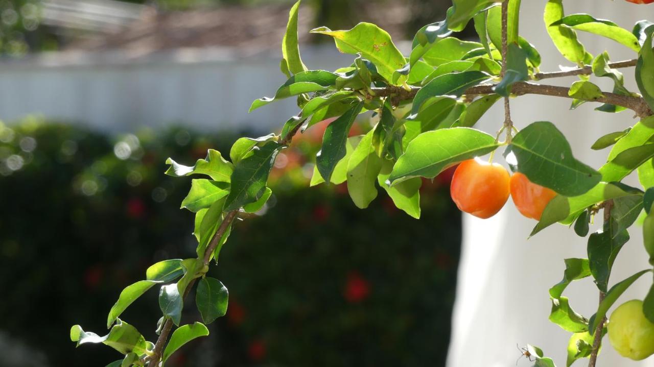 Estrela Azul Guest House Buzios 외부 사진